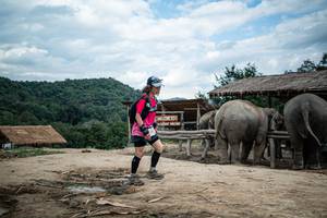 BIB: 
                            <button type="button" onclick="openModal(22423400)" class="btn btn-primary btn-sm float-right btn-popup" data-toggle="modal" data-target=".modal-high-quality">
                        <i class="fas fa-shopping-cart"></i> Add to Cart
                    </button>
                                            <button type="button" onclick="isThisMe(22423400, true)" class="btn btn-success btn-sm float-right btn-popup btn-isme hidden" data-toggle="tooltip" data-placement="bottom" title="นี่คือรูปของคุณใช่ไหม คลิกที่นี่เพื่อเอาเข้าอัลบั้ม">
                        <i class="fas fa-plus"></i> Add to album
                    </button>
                    <button type="button" onclick="isThisMe(22423400, false)" class="btn btn-warning btn-sm float-right btn-popup btn-isnotme hidden">
                        <i class="fas fa-ban"></i> Remove from album
                    </button>